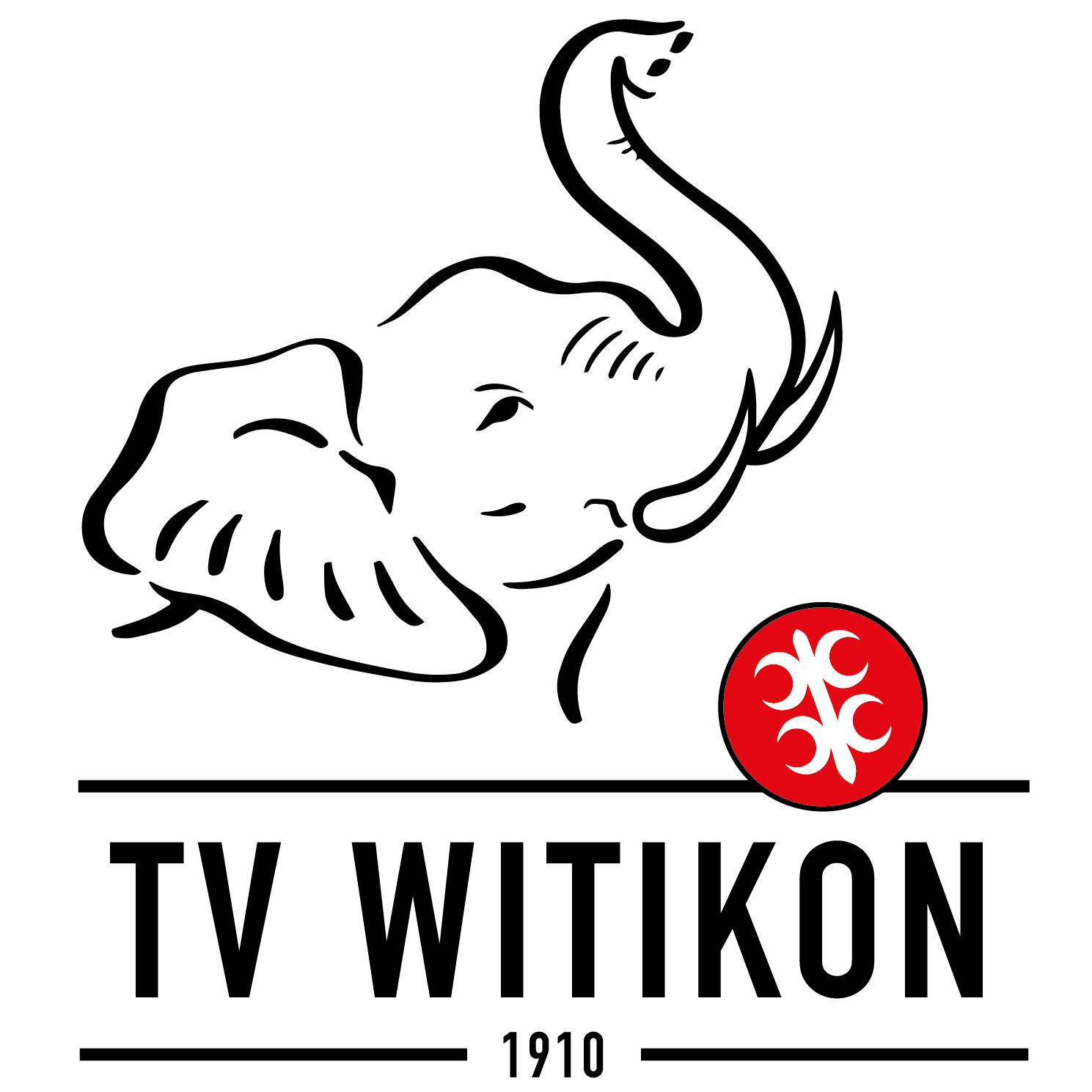 vorstand-tv-witikon